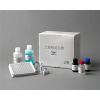 豚鼠白介素12(IL-12/P70) ELISA试剂盒