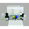 猪孕激素/孕酮(PROG) ELISA试剂盒