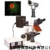 荧光显微镜 显微镜 HAD-DFM-30D