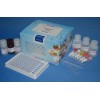 氨基糖苷类联免疫反应试剂盒