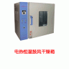 电热恒温鼓风干燥箱    CS-OY-GZX101