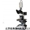 显微镜 反光显微镜