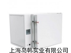 500℃高温干燥箱 DAOHAN高温烘箱DHT-5200A