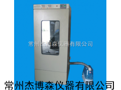 LRHS-250B恒温恒湿箱,恒温恒湿箱价格