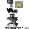 金相显微镜 显微镜 SC-DMM-200D