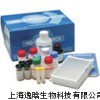 人骨桥蛋白（OPN）ELISA试剂盒