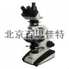 T三目透射偏光显微镜  xt10029
