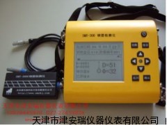 SMY—300C钢筋检测仪 天津价格厂家上海北京
