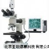 三目正置型金相顯微鏡/三目金相顯微鏡