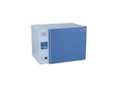 电热恒温培养箱（不锈钢内胆，AB型智能仪表）DH-600