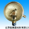 耐震电接点压力表 PT-YTNXC-100