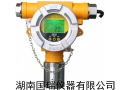 广东广西国瑞仪器甲烷检测报警器