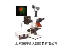 正置荧光显微镜  荧光显微镜   HAD-DFM-30D