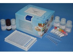 大鼠血清总补体(CH50)检测试剂盒_供应产品