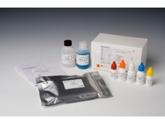 大鼠抗促甲状腺素受体抗体(TRAb)检测试剂盒