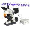 DP-300显微镜     荧光显微镜/亚欧荧光显微镜