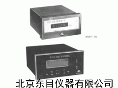 WJ6-XMY-12,压力数字显示控制仪,智能压力数字显示仪