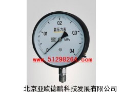 DPYA-60/100/150氨压力表/氨压力仪/氨压力