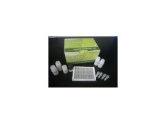 人皮质醇（Cortisol）ELISA kit