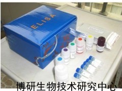 大鼠(INH-B)抑制素B检测ELISA试剂盒_供应产