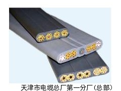 （RVVB）铜芯聚氯乙烯缘护套两芯平行软线2×2