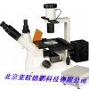倒置荧光显微镜（双色激发）/荧光显微镜