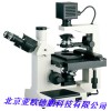 DP-20倒置生物显微镜/生物显微镜