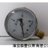耐震压力表 Y-60N  0-25MPa  M14*1.5