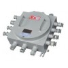 化工常规电压BJX接线箱 多功能防暴接线箱 三诺BJX防爆箱
