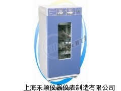 恒温恒湿箱LHS-250SC