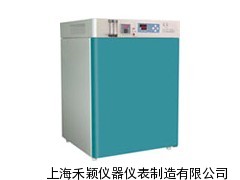 二氧化碳培养箱HH.CP-01(160L)