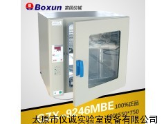 电热恒温鼓风干燥箱 高温箱 实验室烘箱GZX-9246MBE