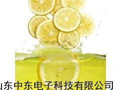 柠檬片冻干机 多功能冷冻干燥机