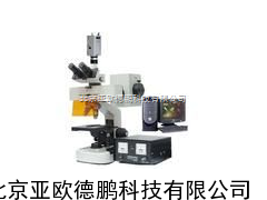荧光显微镜/双目荧光显微镜/正置双目荧光显微镜