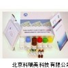 白介素10 ELISA试剂盒,IL-10 ELISA Kit