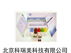 人白细胞介素12p70 ELISA试剂盒_生物试剂_实