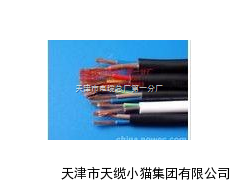 天津DJYJPV 16*2*0.5 计算机控制电缆报价