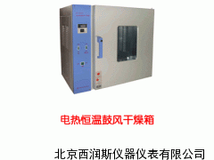 XRS-CS-OY-GZX101 电热恒温鼓风干燥箱