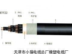 ZR-KVVP ZA-KVVP 屏蔽阻燃控制电缆