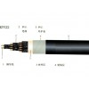 ZR-KVVP ZA-KVVP 屏蔽阻燃控制电缆