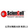 5×105 cells/ml 人小神经胶质细胞 HM