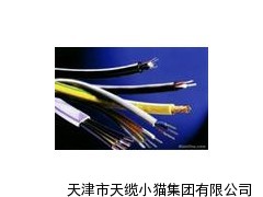 低烟无卤阻燃通信电缆WDZ-HYA53