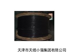 天津VV22双芯钢带铠装全塑电力电缆价格