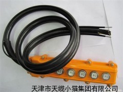 阻燃软电缆 ZR-RVV10平方