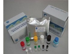 科研小鼠抗利尿激素ELISA试剂盒原理、操作步