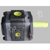 IPVP3-3.5-100福伊特齿轮泵