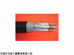 NH-VV 耐火电缆线缆规格3*50国标电缆价格