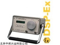 本安防爆型便携式露点检测仪 Model DSP-Ex
