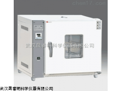 湖北立式电热恒温干燥箱,202系列电热恒温干燥箱武汉报价