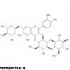 wkq-01724 异鼠李素-3-O-槐二糖-7-O-鼠李糖苷